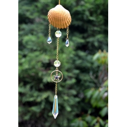 Attrape-Soleil Etoile noire