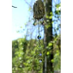 Attrape-Soleil Huitre nocturne