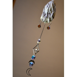 Attrape-Soleil Huitre nocturne