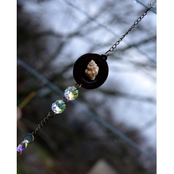 Attrape-Soleil trésor des profondeurs