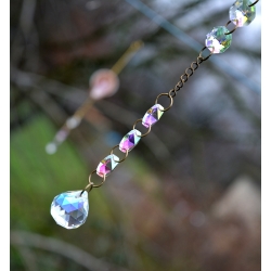 Attrape-Soleil trésor des profondeurs