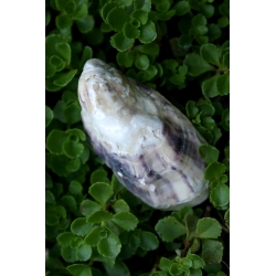 Petite étoile perdue