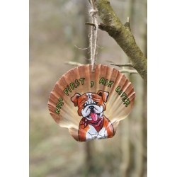 Bulldog tendre flemme