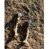 Boucles d'oreilles Aventurine bleue et ossements