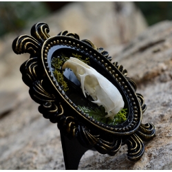 Cadre "L'âme de Pailhès"