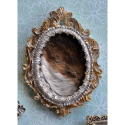 Petit Cadre Curieux - Baroque et bicolore