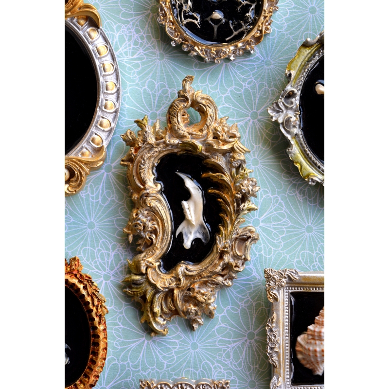Petit Cadre Curieux - Mandibule rococo