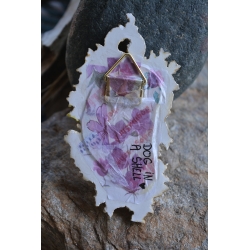 Petit Cadre Curieux - Mandibule rococo