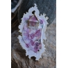Petit Cadre Curieux - Mandibule rococo