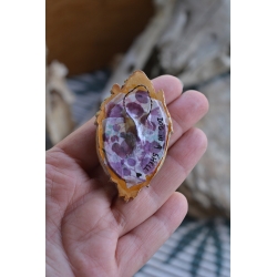 Mini Cadre Curieux - Mandibule baroque