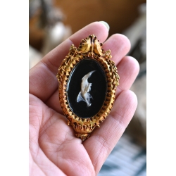 Mini Cadre Curieux - Mandibule baroque