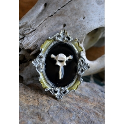 Miniature Cadre Curieux - Ovale vertébral