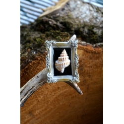 Miniature Cadre Curieux - Coquille baroque