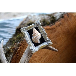 Miniature Cadre Curieux - Coquille baroque