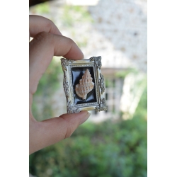 Miniature Cadre Curieux - Coquille baroque