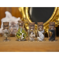 Ensemble de 5 mini fioles curieuses - Les timides
