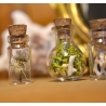 Ensemble de 5 mini fioles curieuses - Les timides