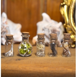 Ensemble de 5 mini fioles curieuses - Les modestes