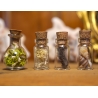 Ensemble de 5 mini fioles curieuses - Les modestes