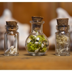 Ensemble de 5 mini fioles curieuses - Les modestes