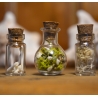 Ensemble de 5 mini fioles curieuses - Les modestes