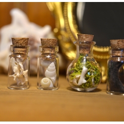 Ensemble de 5 mini fioles curieuses - Les timides