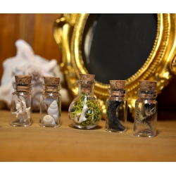 Ensemble de 5 mini fioles curieuses - Les timides