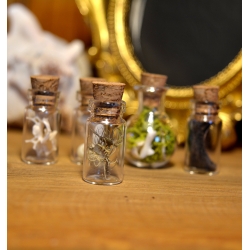 Ensemble de 5 mini fioles curieuses - Les timides