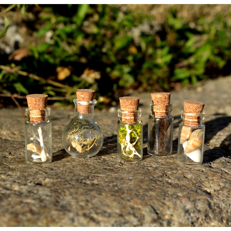 Ensemble de 5 mini fioles curieuses - Les farouches