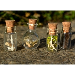 Ensemble de 5 mini fioles curieuses - Les farouches
