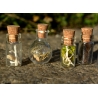 Ensemble de 5 mini fioles curieuses - Les farouches
