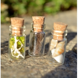 Ensemble de 5 mini fioles curieuses - Les farouches