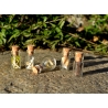 Ensemble de 5 mini fioles curieuses - Les farouches