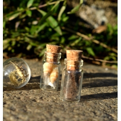 Ensemble de 5 mini fioles curieuses - Les farouches