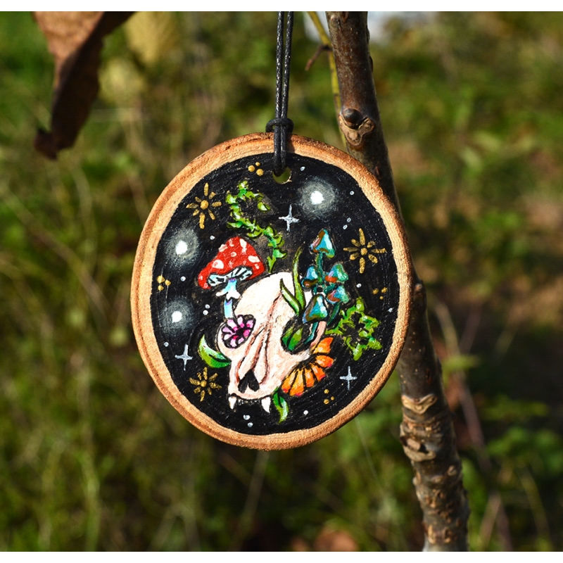 Le chat des étoiles