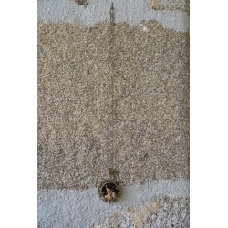 Pendentif trio de coquilles