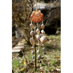 Carillon coquillages