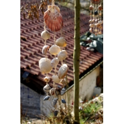 Carillon coquillages