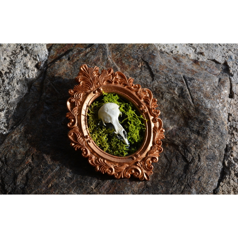 Cadre "Mémoire fragile"