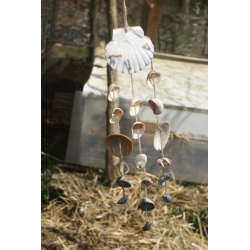 Carillon coquillages