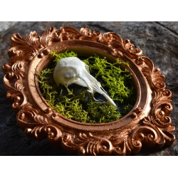 Cadre "Mémoire fragile"