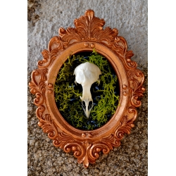 Cadre "Mémoire fragile"