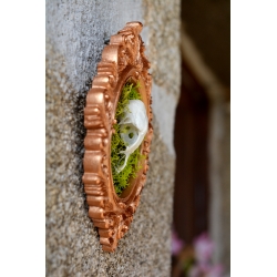 Cadre "Mémoire fragile"