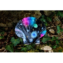 Coquille Archipel Céleste