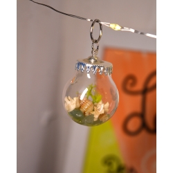 Mini boule curieuse Rivage vert