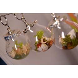 Mini boule curieuse Vertèbre Flamboyantes
