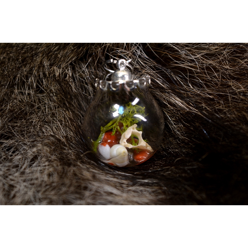 Mini boule curieuse Vertèbre Flamboyantes