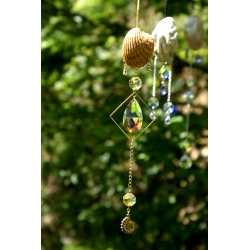 Attrape-Soleil Caracole d'or