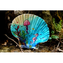 Coquille Jardin Sous-Marin