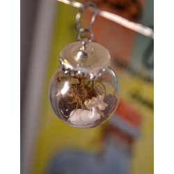 Mini boule curieuse Temps précieux